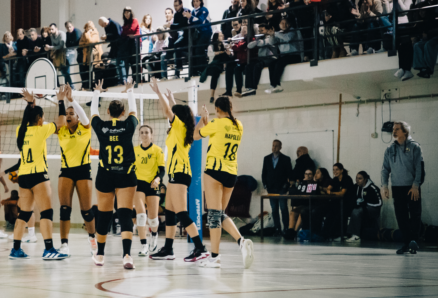 VICE-CAMPEÃS NACIONAIS III DIVISÃO