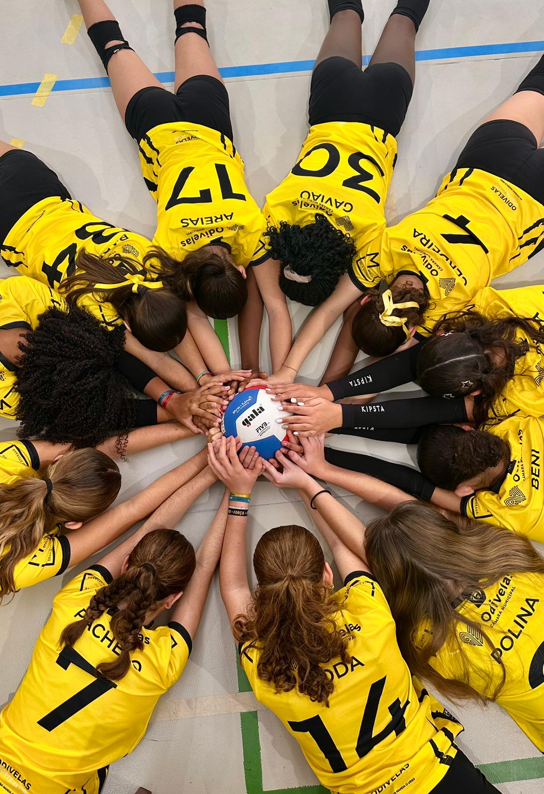 Voleibol